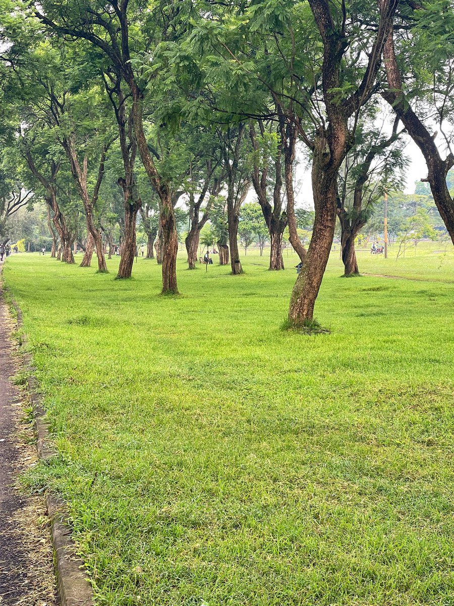 Moseax ✈ 🧳 tweet media