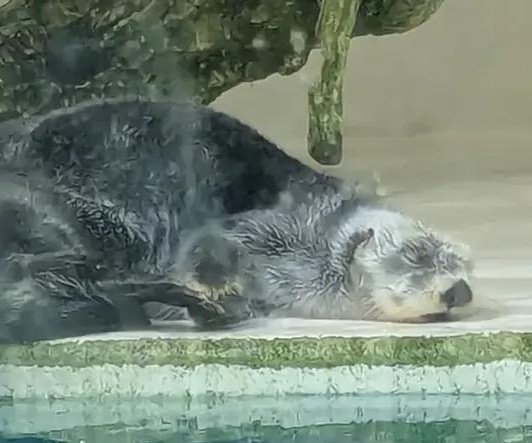 しもん❕ tweet media