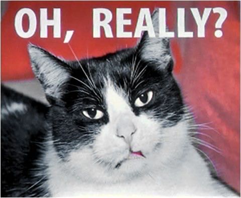 Sinix Xu tweet media