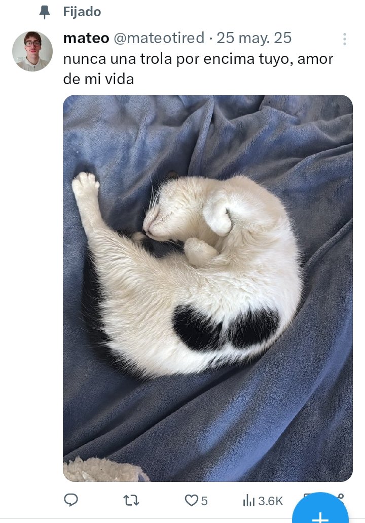 F R E D D Y N A L D O tweet media