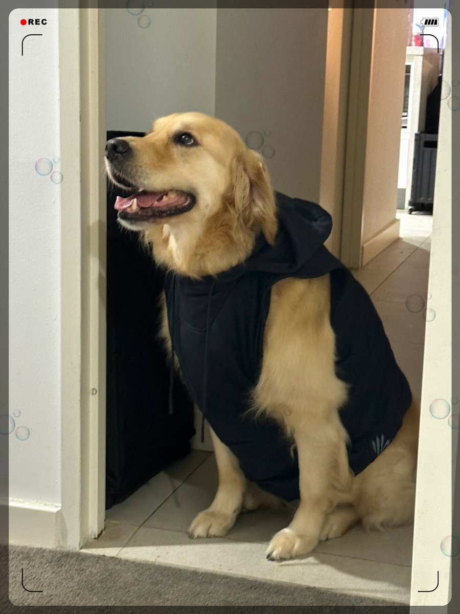 devnath das tweet media