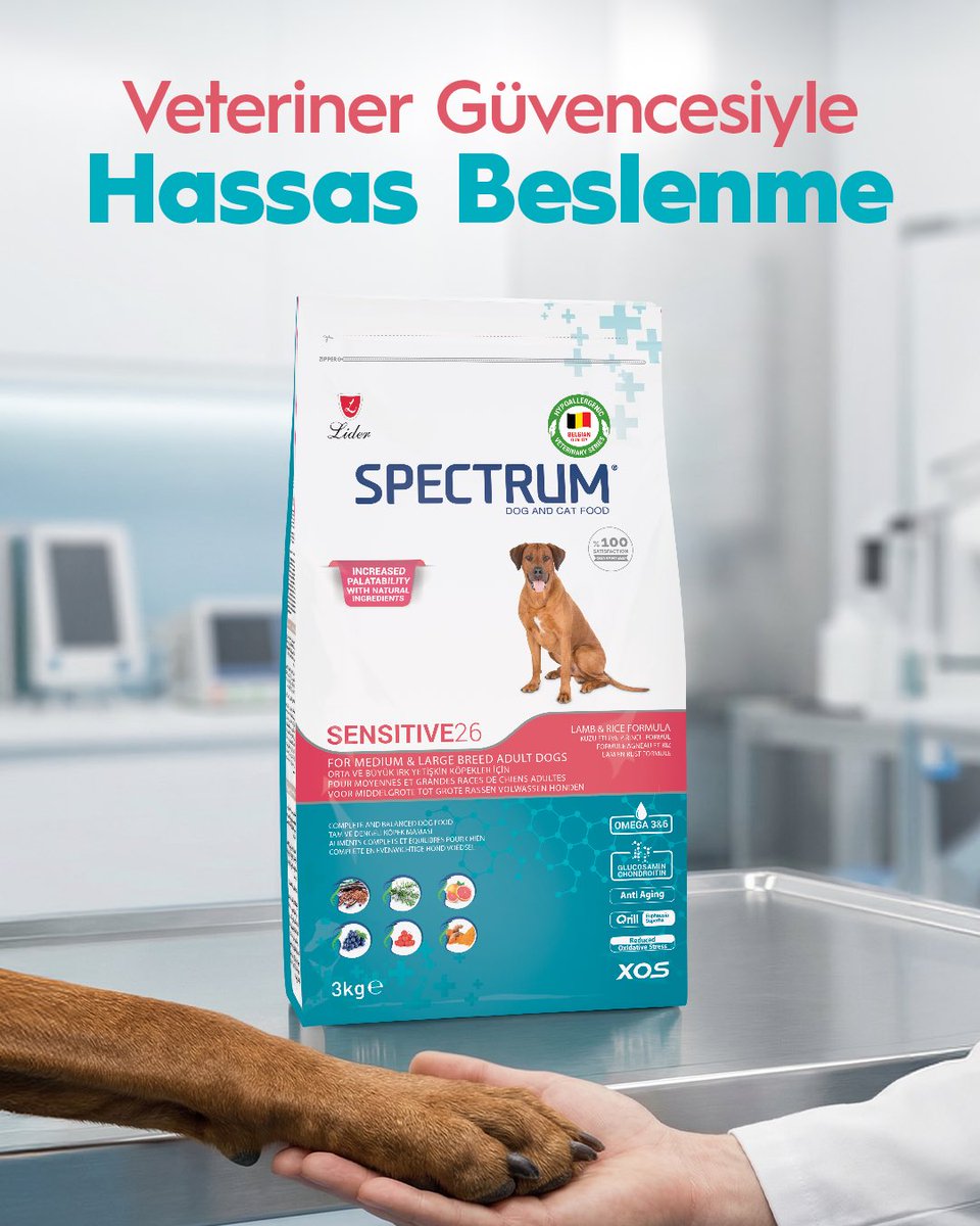 Hassas sindirim sistemine sahip köpekler için özel olarak formüle edilen Spectrum Sensitive 26, yüksek sindirilebilir protein kaynakları ve XOS içeriğiyle sindirim sistemini destekler. İçeriğindeki Omega 3 yağ asitleri ise deri ve tüy sağlığının korunmasına katkı sağlar.