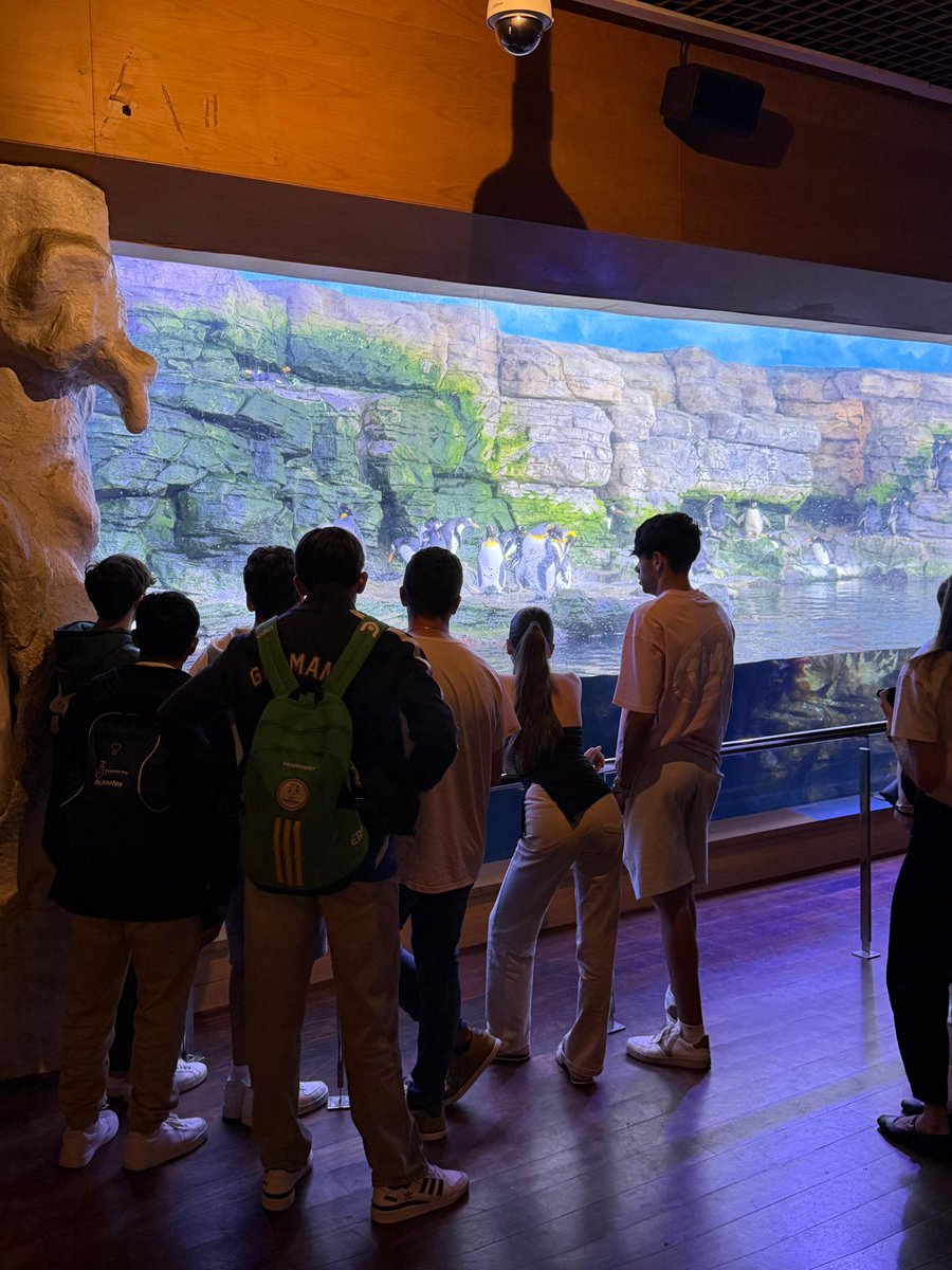 CSANJOSEFUENSA's tweet photo. Durante el último día de nuestro viaje hemos visitado el Oceanogràfic de Valencia. ¡Han sido unos días maravillosos! https://t.co/nZ18lLlOVJ