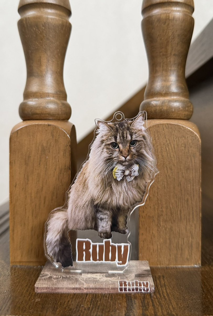 武藤　敬司 tweet media