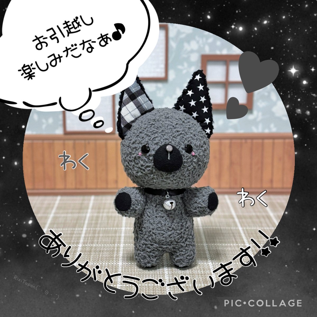 幸せなことに、こちらのネコさんのお家?が決まりました‼️ ありがとう 