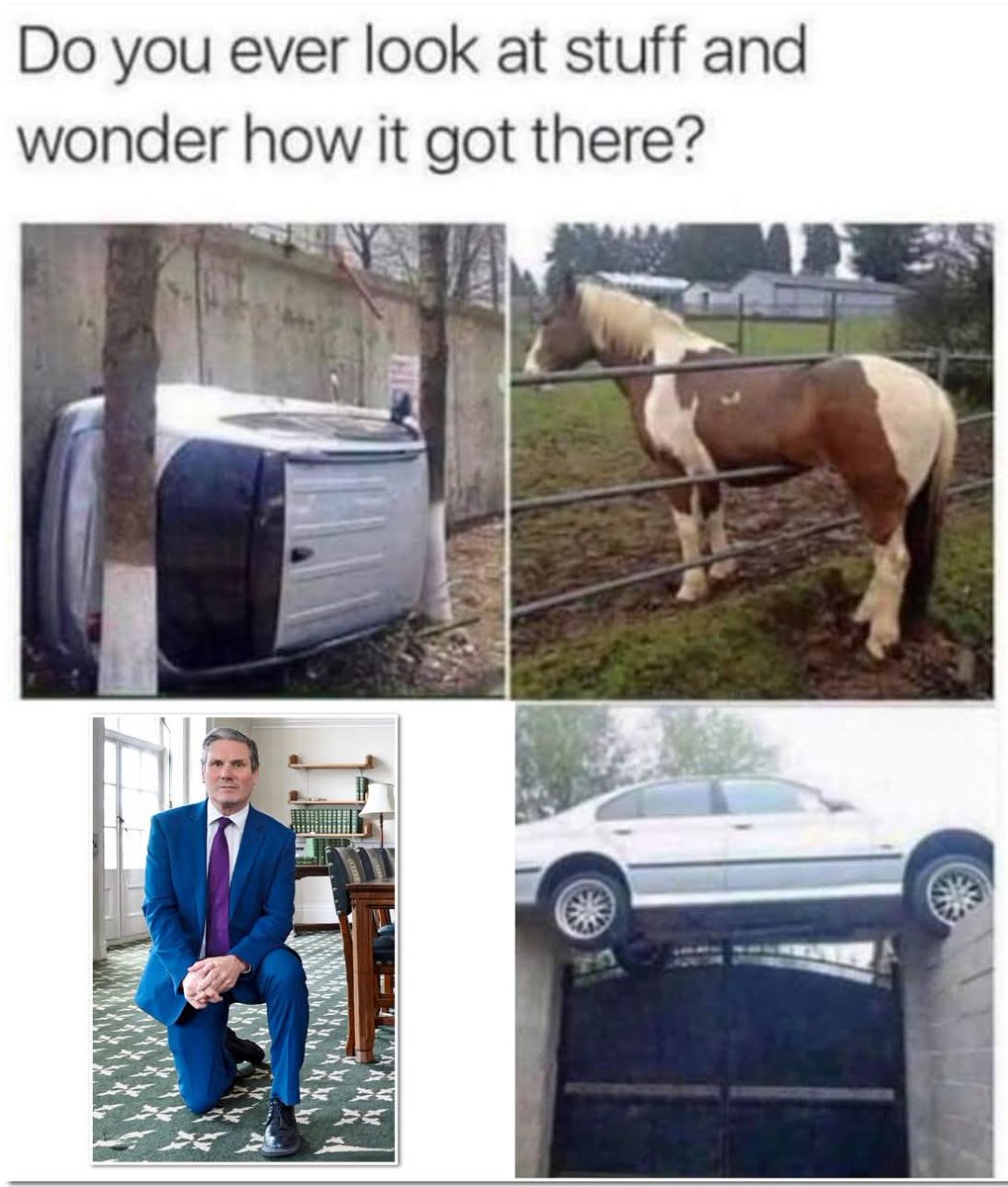 P. Doff🏴😡 tweet media