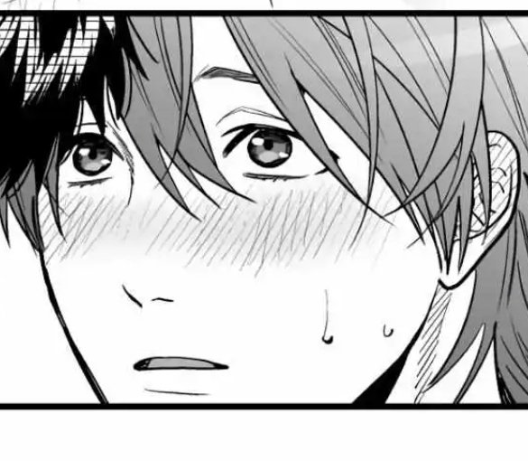 kinky isopod tweet media