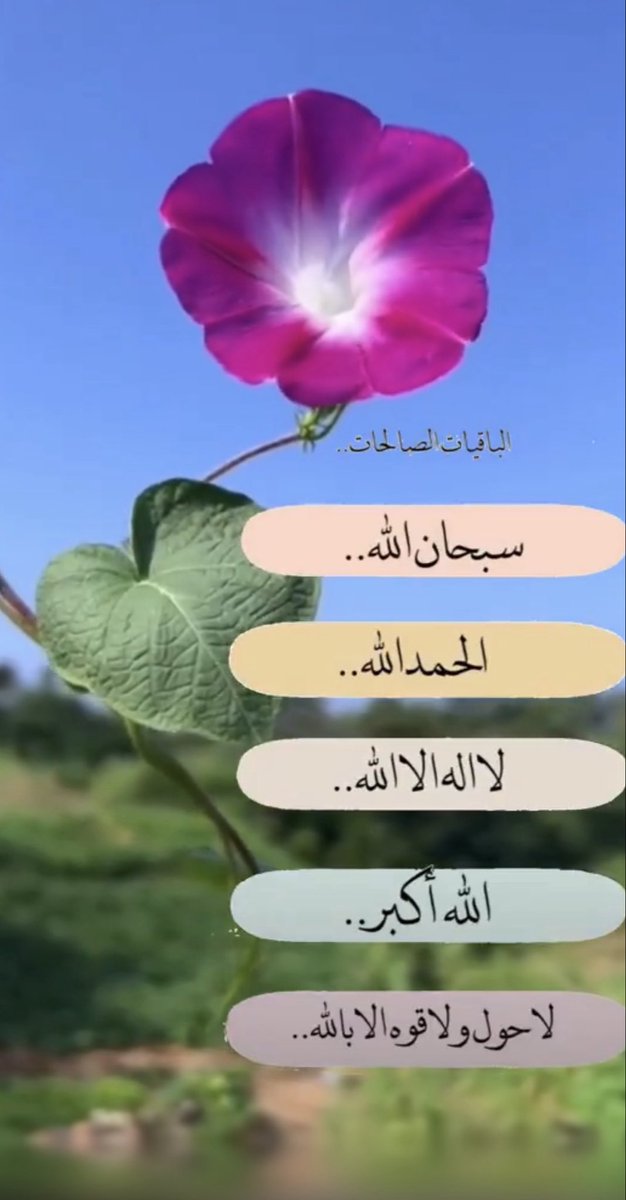 vpwwt's tweet photo. اللهم جمّلنا بمحاسن الخُلق 
وخفّة الحضور والقبو�� بين الناس 
واجعلنا ذو أثــــر طيب في الحياة 
وبعد الممات https://t.co/vajHHstDwn