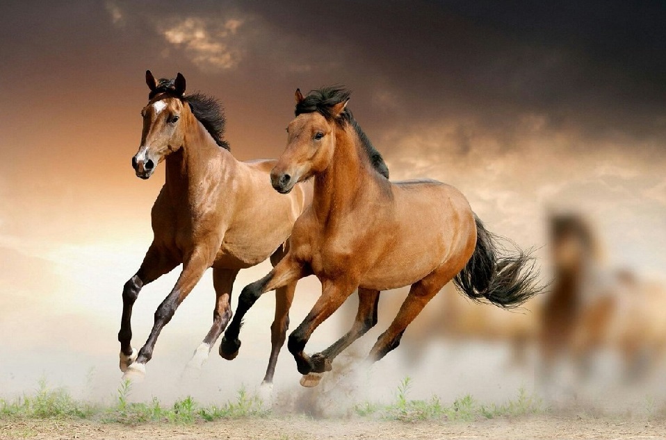 pocs80's tweet image. For all my Followers &amp;amp; X (Twitter) Friends 
#TakeCare