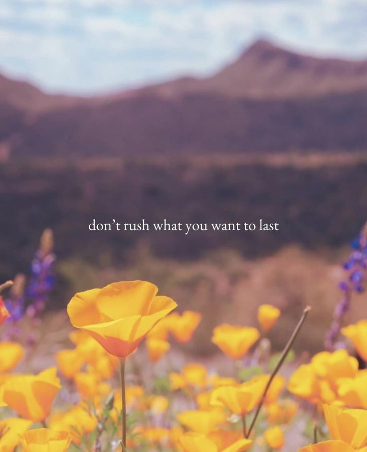 JJackie1974's tweet image. #goodadvice