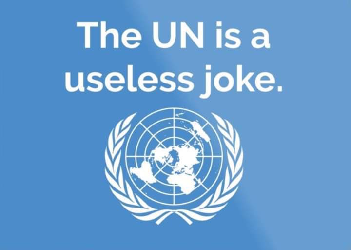 Milo Steele tweet media