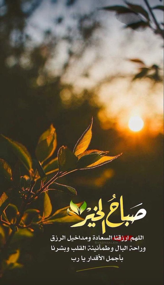 خالد بن مساعد 💙🫶🏻💙 tweet media