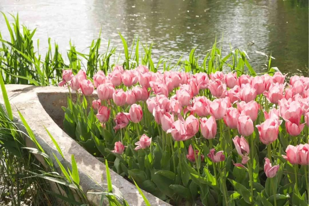 Weifang Moments tweet media