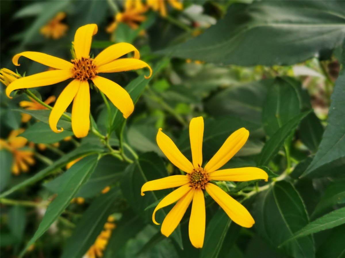 Kai Flathmann tweet media