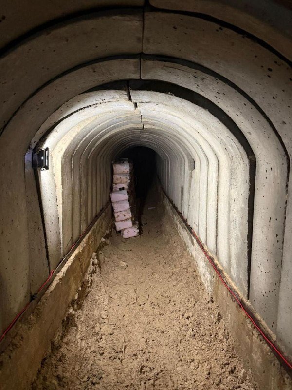 Eli Afriat 🇮🇱 tweet media