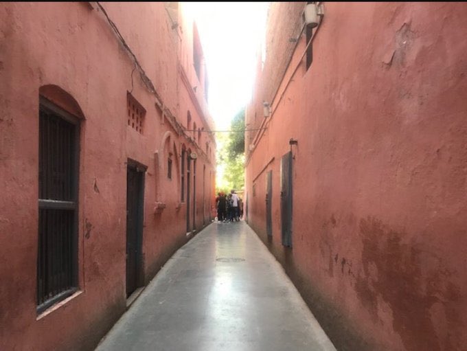 TriNitroToluene 🔻 tweet media