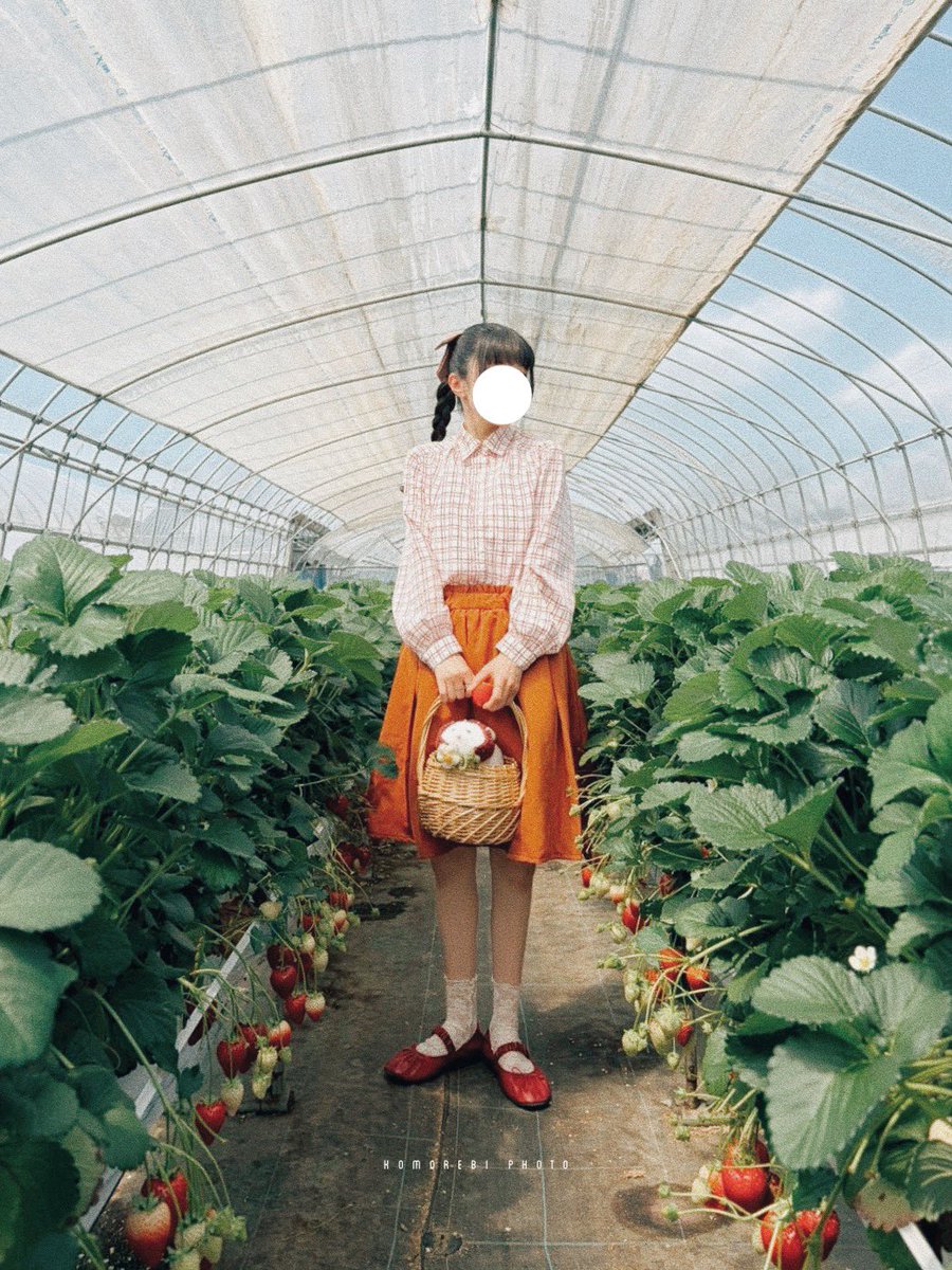 curemarmalade's tweet photo. この日のお洋服は思い出の詰まったものばかりのお気に入りで、母の知り合いのおばあさんからいただいた手作りのブラウスに、着れなくなったからといただいたスカートをリメイクしたもの、手作りの頭につけるリボン、この日のために買った靴下とパンプス
それからお友達とお揃いにした三つ編みヘア https://t.co/TRphGvIdt8
