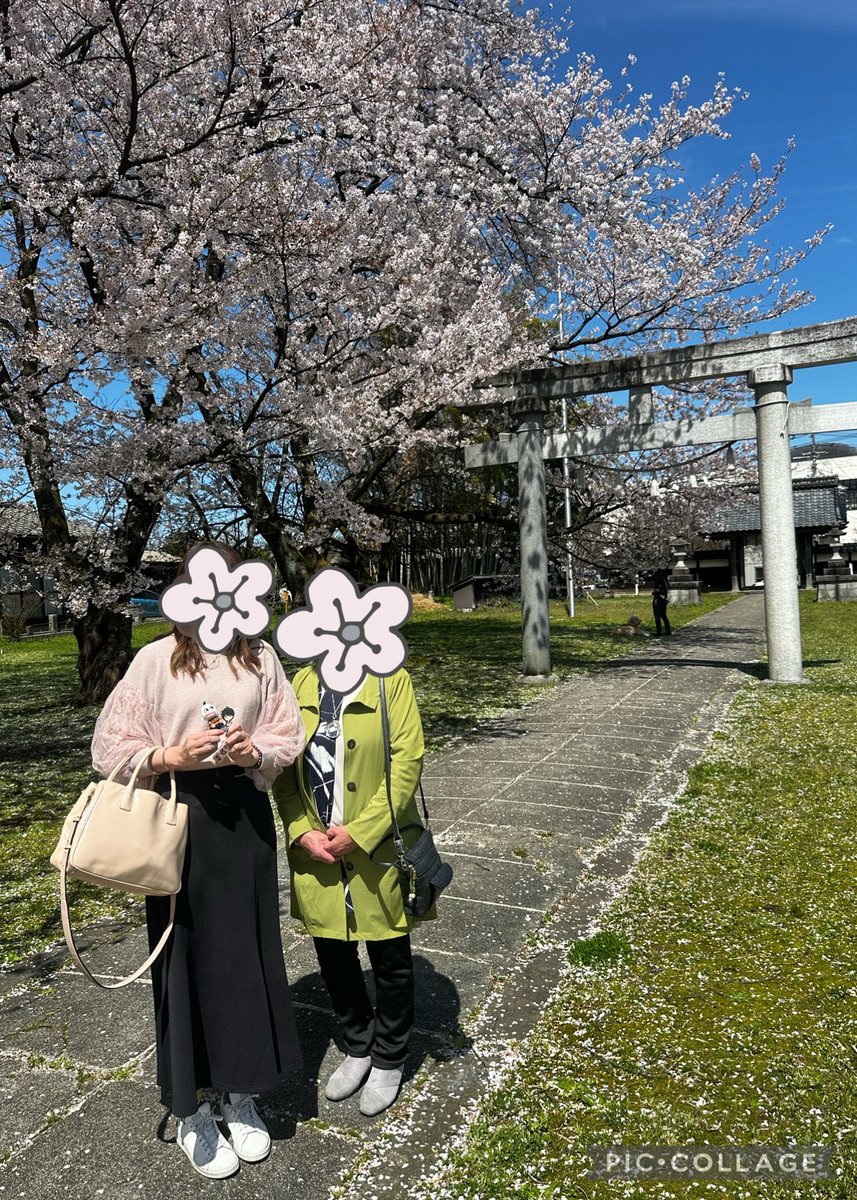 オカピ🥒 tweet media