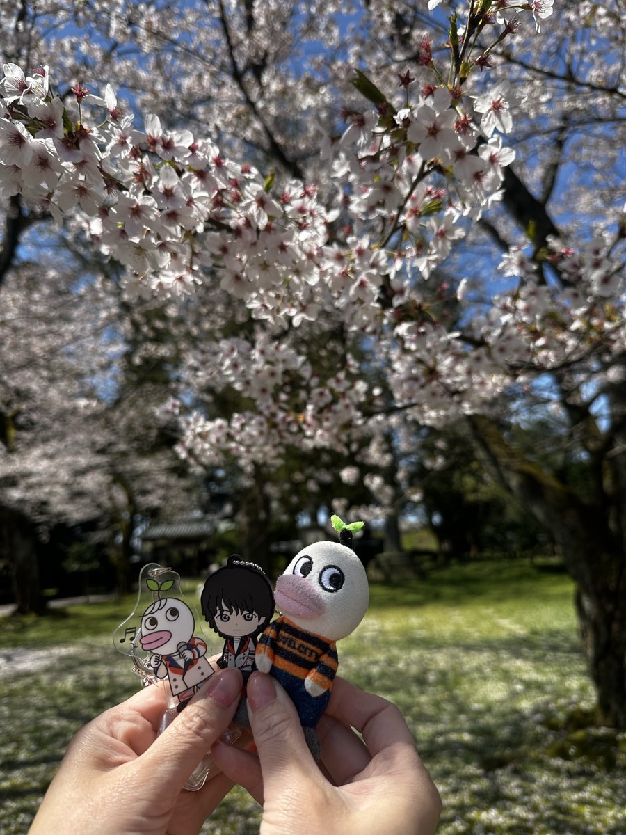 オカピ🥒 tweet media