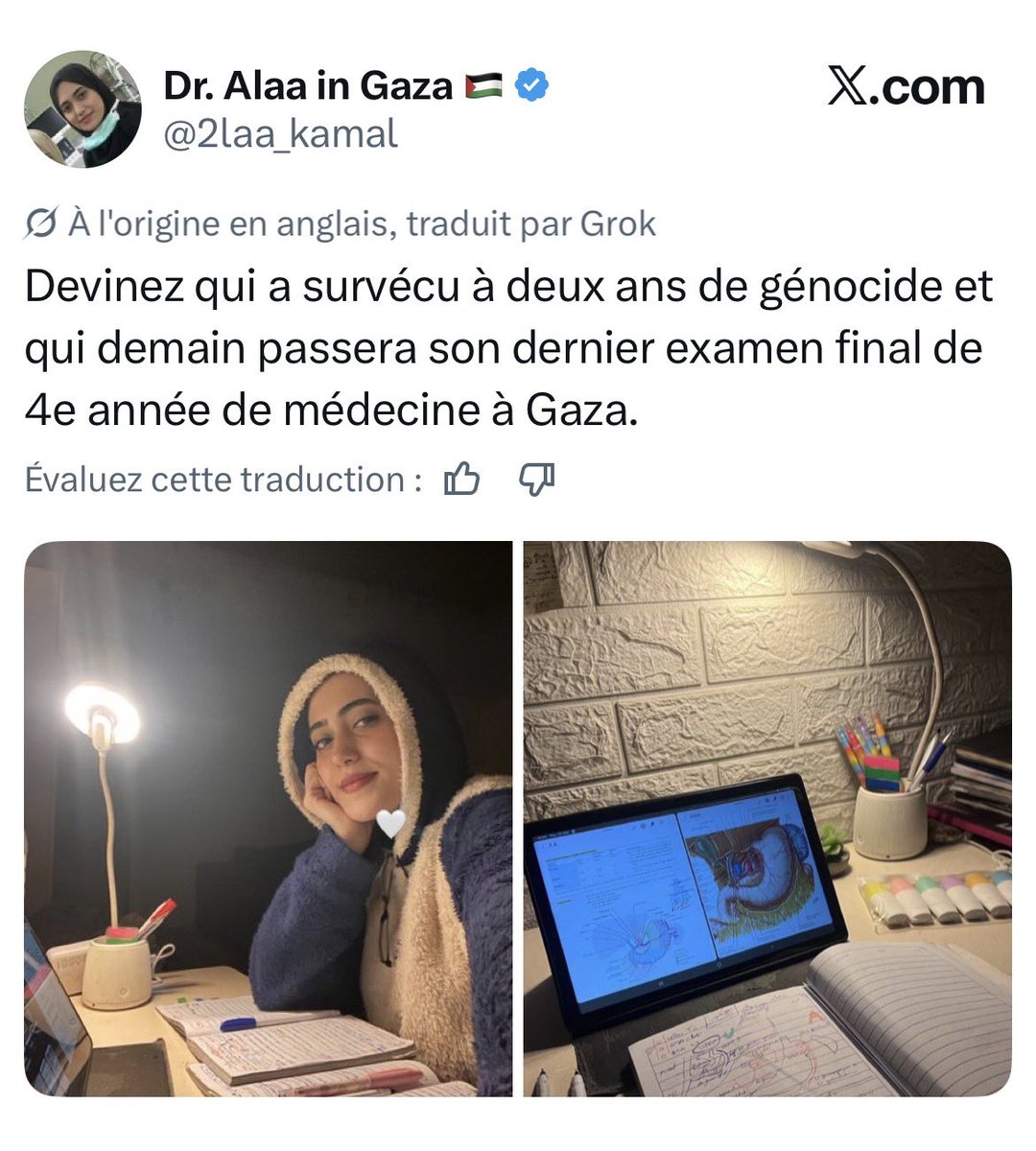 Hadrian Montefiori tweet media