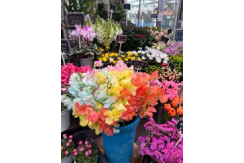 Osaka Point事務局【公式】 tweet media