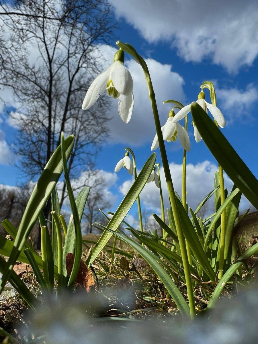 𝙉𝙖𝙩𝙖𝙡𝙞𝙖 tweet media