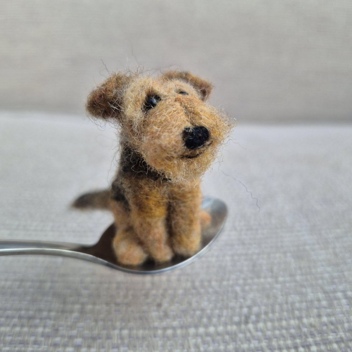 The Rocking Felter tweet media