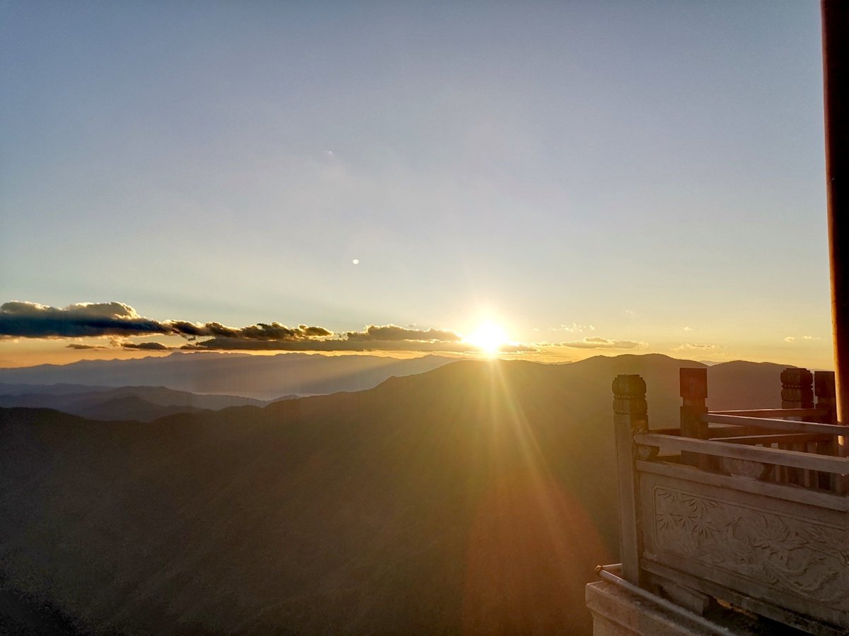 Taylor Porter tweet media