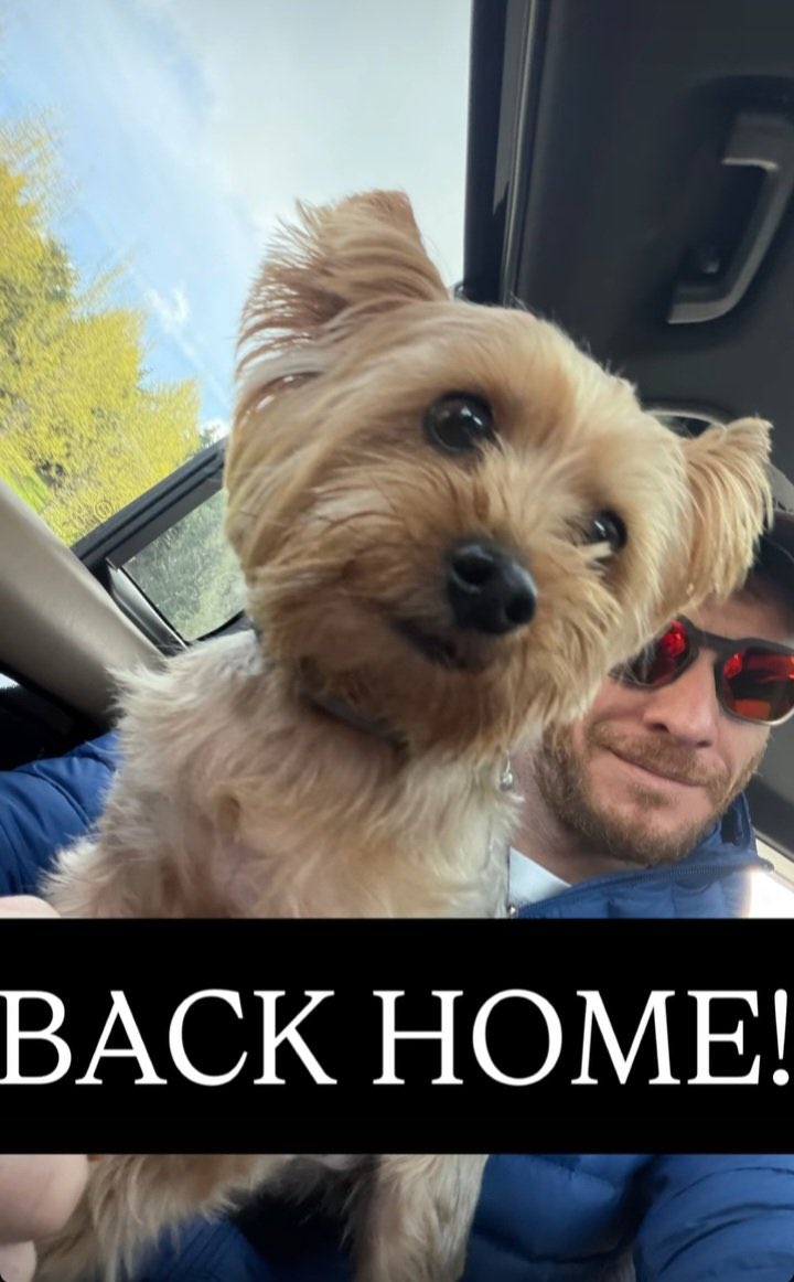 Kerem Bürsin lo compartió en su cuenta de redes sociales

Tras un largo período en el extranjero, Kerem Bürsin ha regresado a Turquía.
 #KeremBürsin