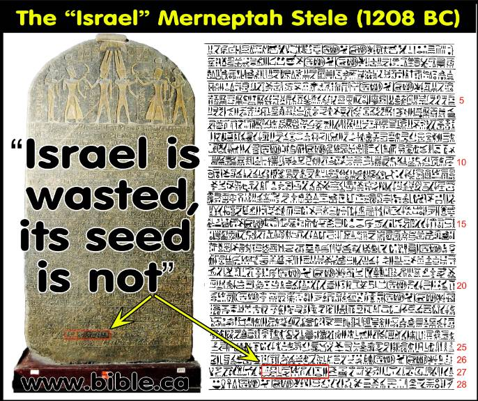 Tyler Vincent tweet media