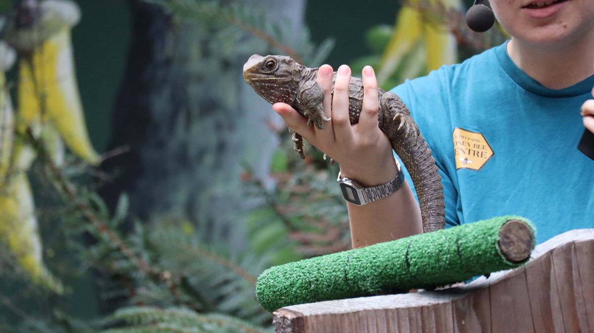 つぼみん旅行記 tweet media