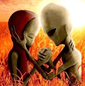 Whoni!🌼🧸ᴿᵒᵐᵉ ᵈᵉᶠᵉⁿᵈᵉʳ tweet media