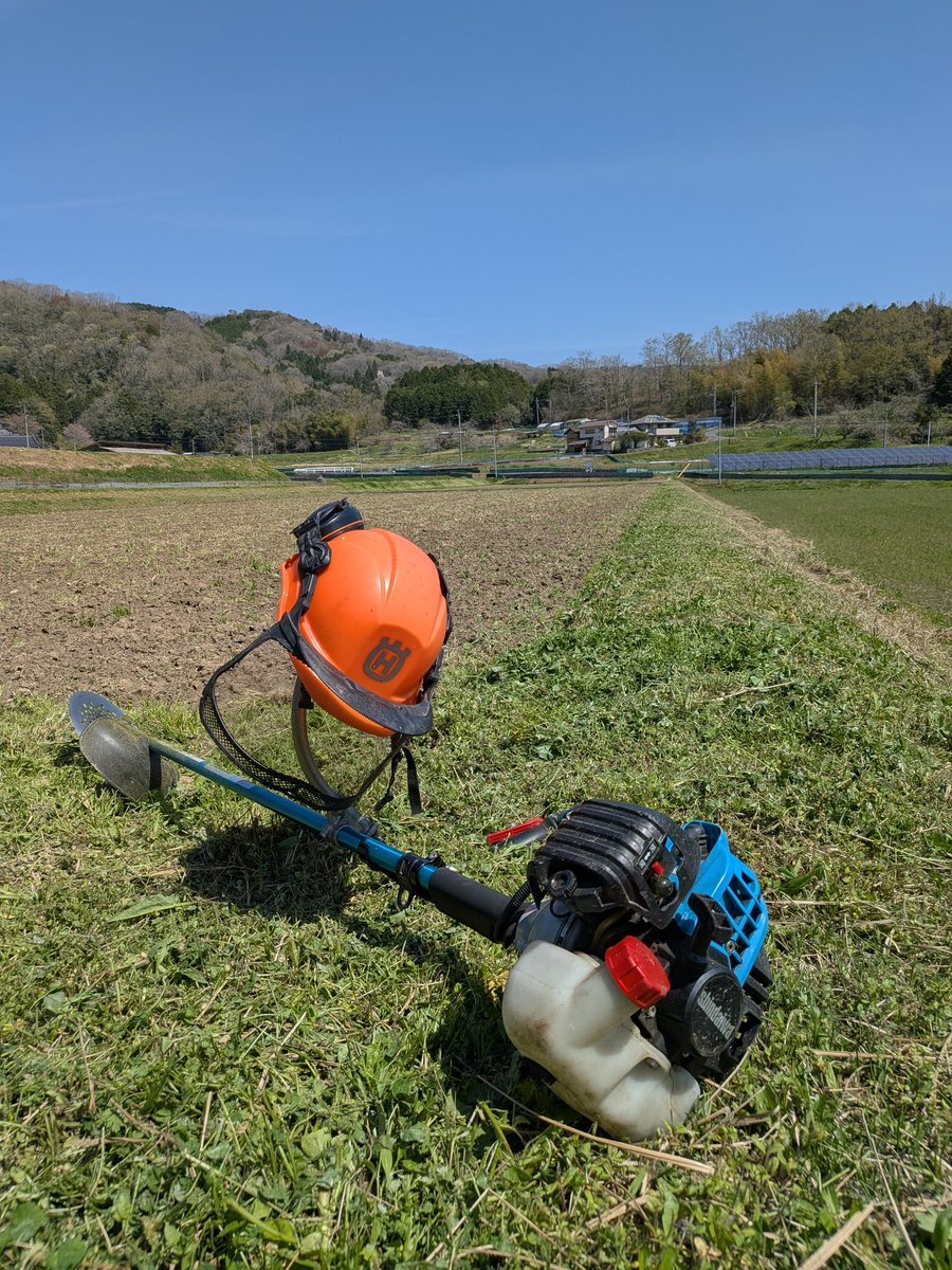 こばけん| 真庭市地域おこし協力隊✖︎林業 tweet media