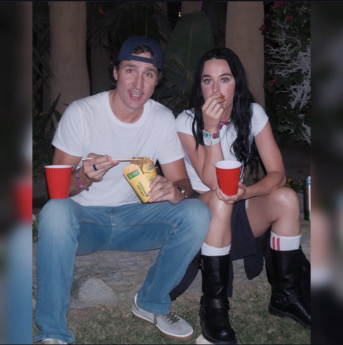 morph 🐈 tweet media