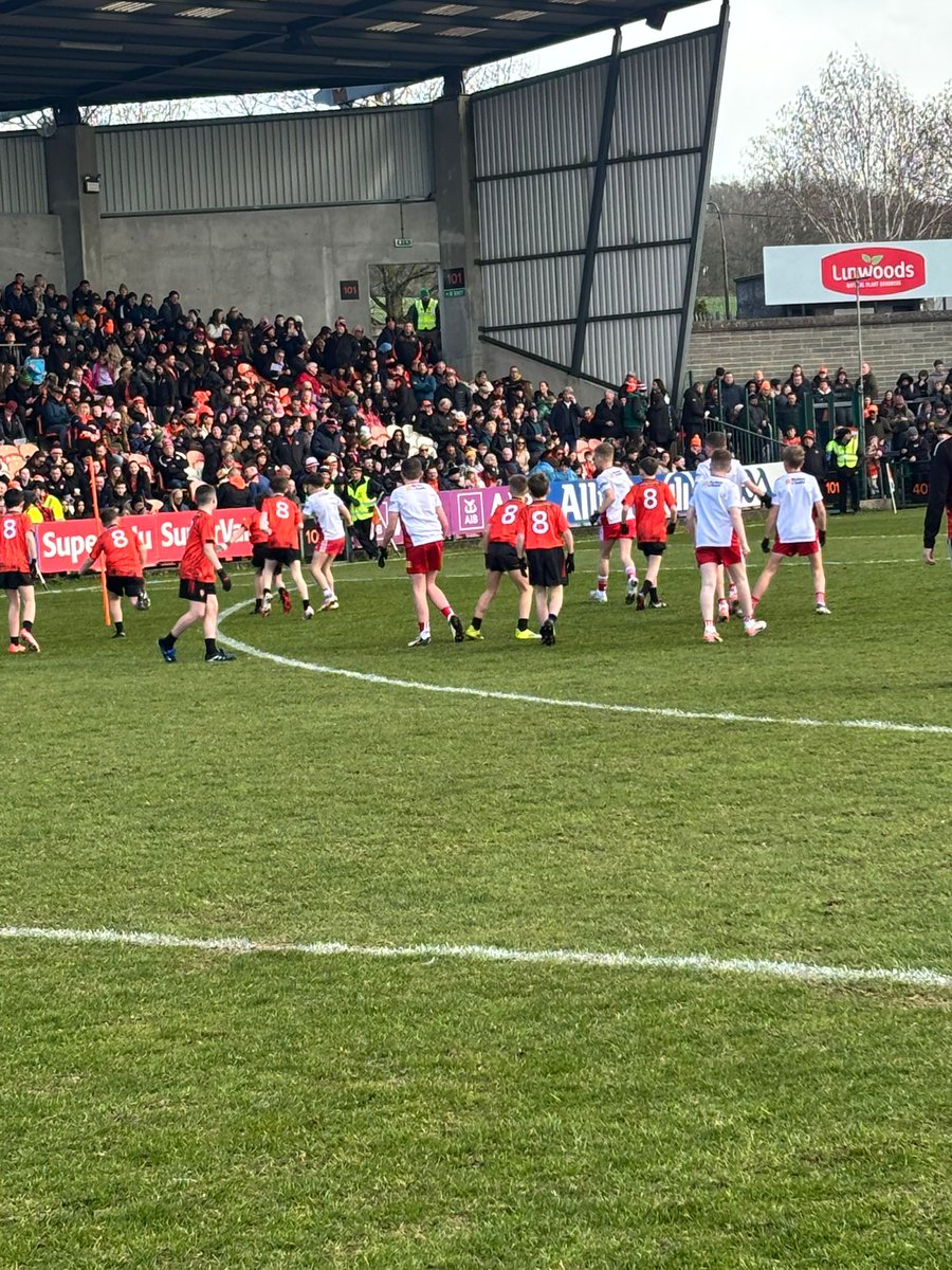 Tyrone GAA mBunscol tweet media