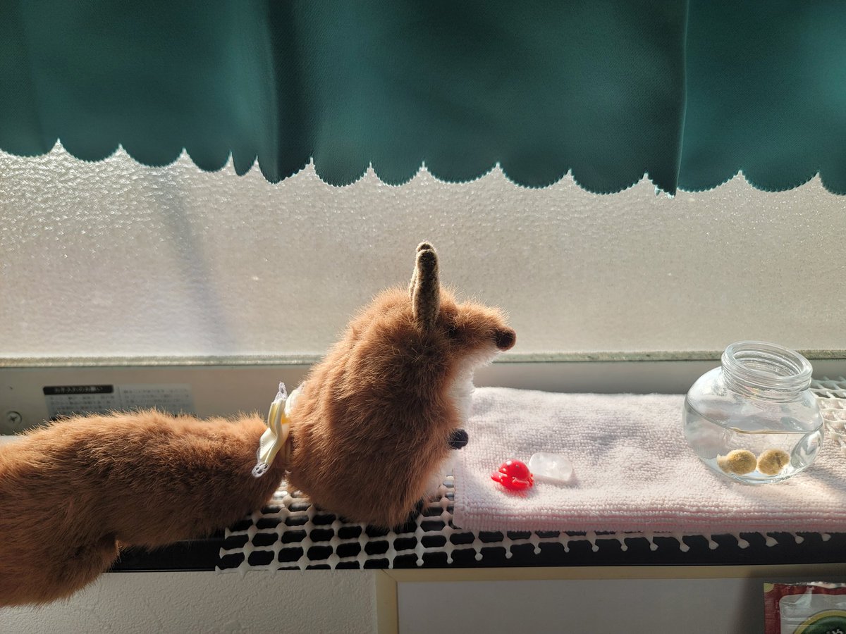 るぅたん tweet media