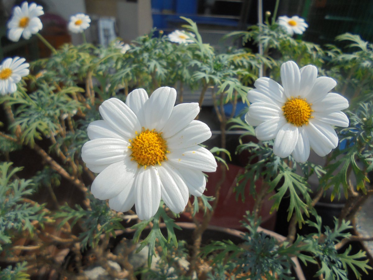 이근제 tweet media