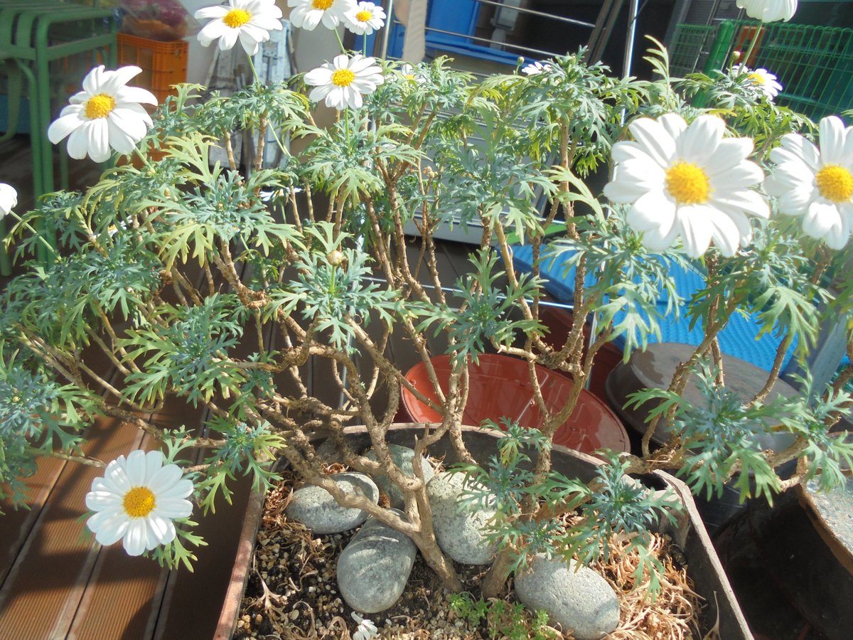 이근제 tweet media