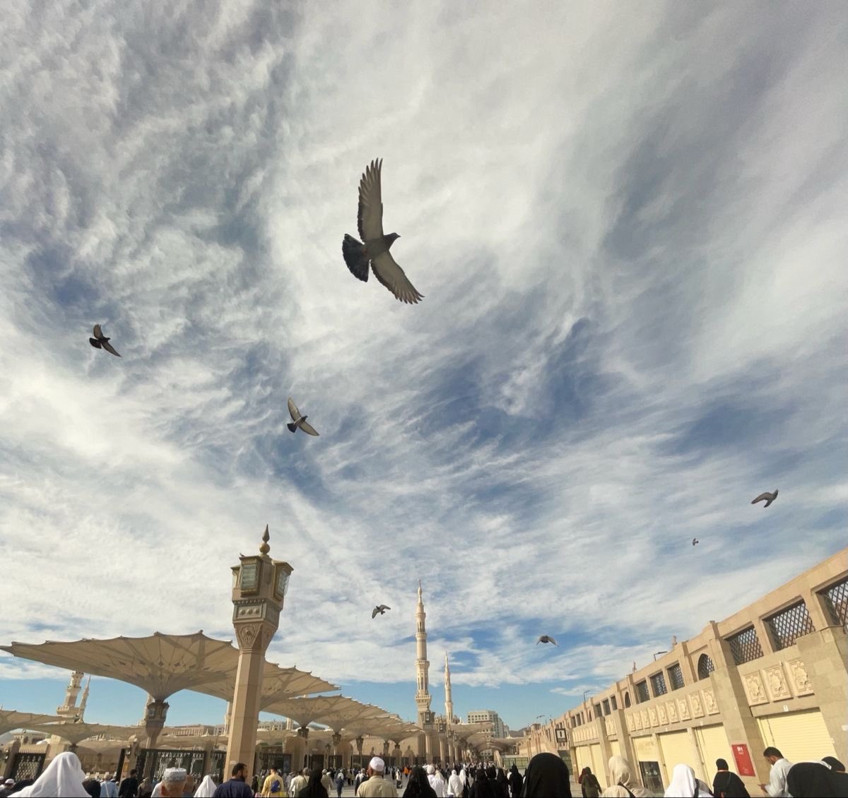 عَلْقَّمة|فَصِيح tweet media