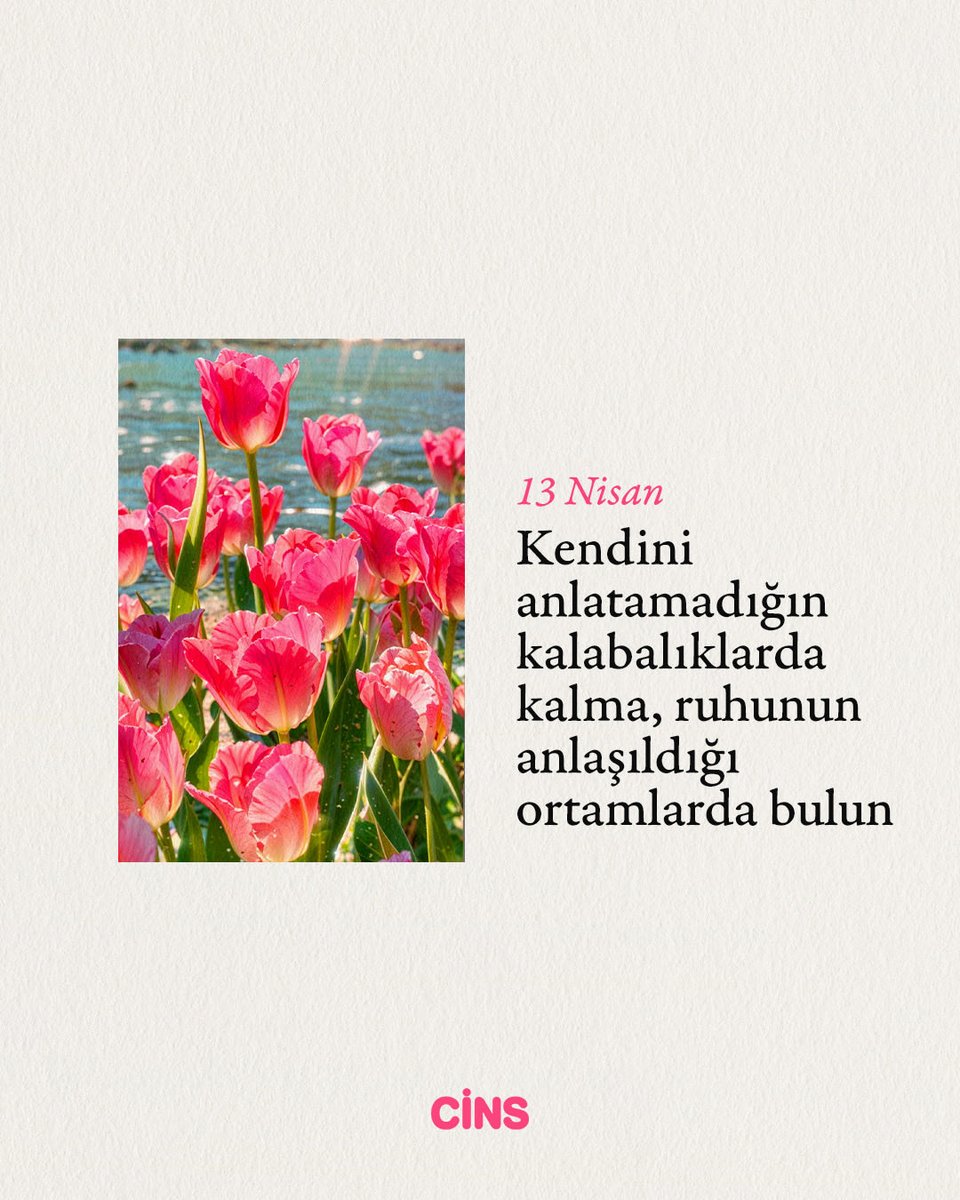 Cins Dergi tweet media