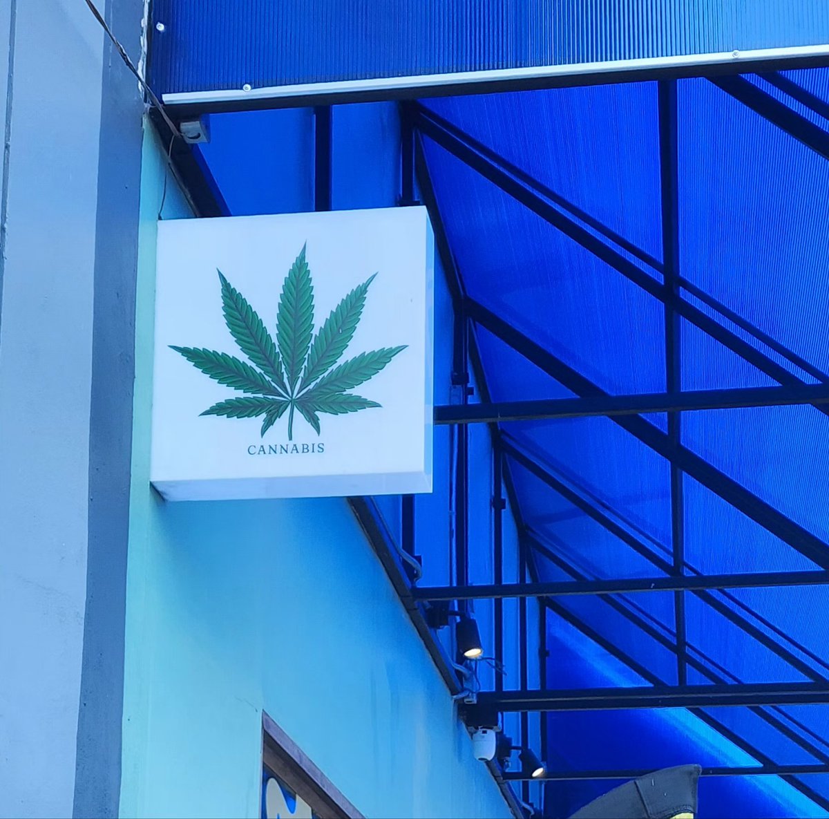 ぱるまこん tweet media