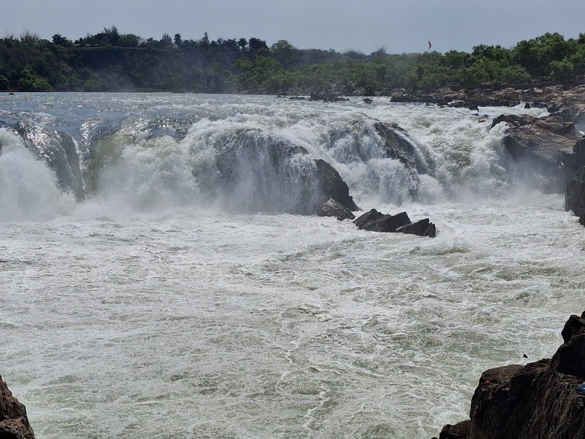 Divyansh tweet media