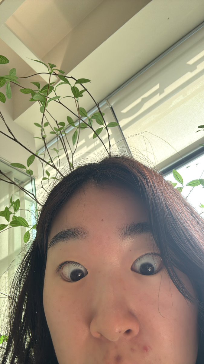 Min Seon tweet media