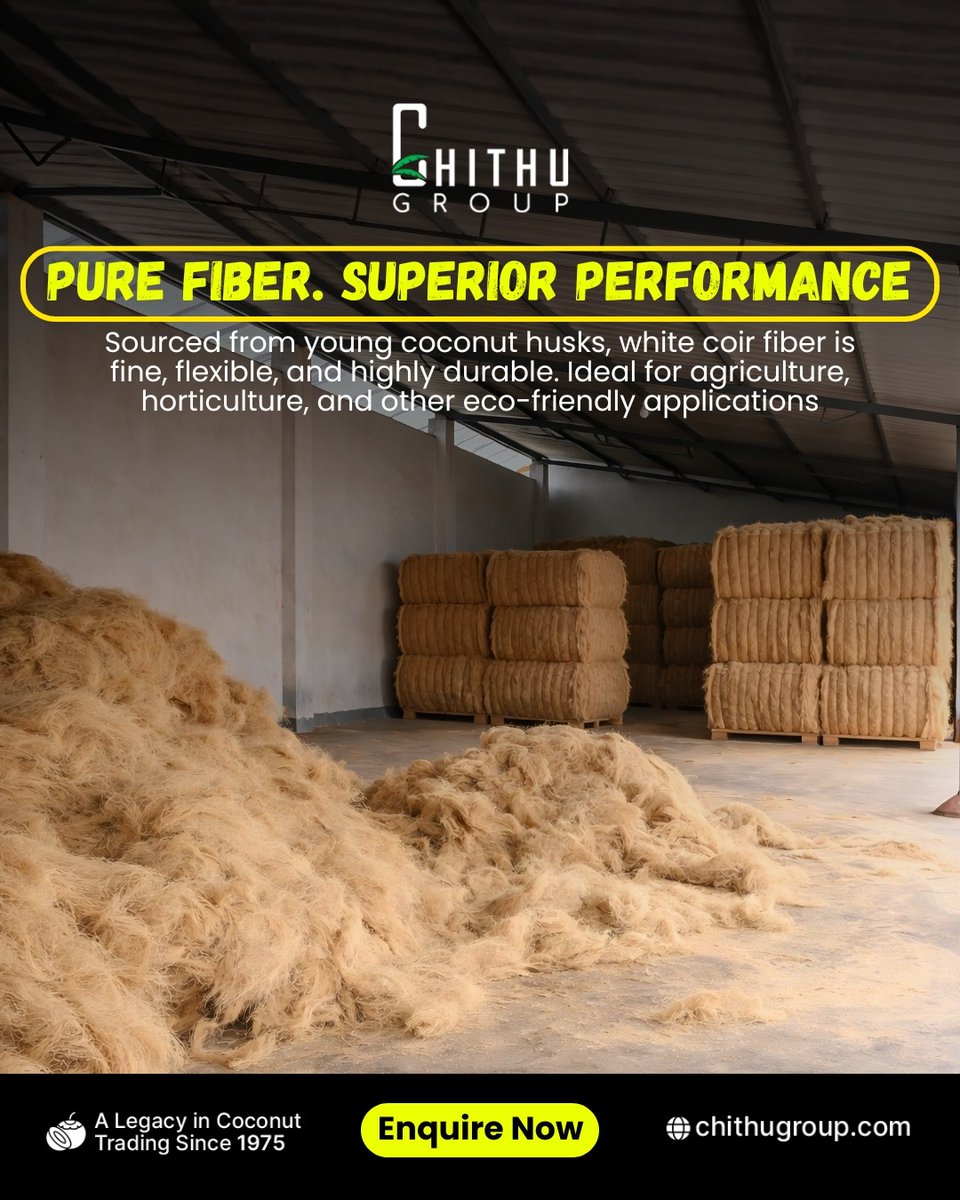 Chithu_Group's tweet photo. Pure quality you can trust.
Our premium white coir fiber is sourced from young coconut husks — delivering superior strength, flexibility, and durability for every application.

📩 Enquire now and experience the difference!
https://t.co/1lS7fRHlZj

#CoirFiber #WhiteCoir https://t.co/6McHN7wd5R