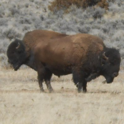 Just A Jailer tweet media