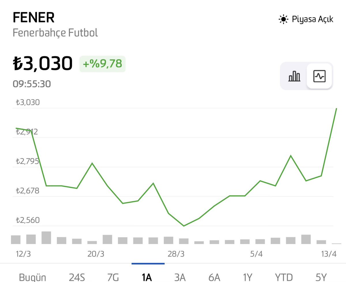 fernanda curti tweet media