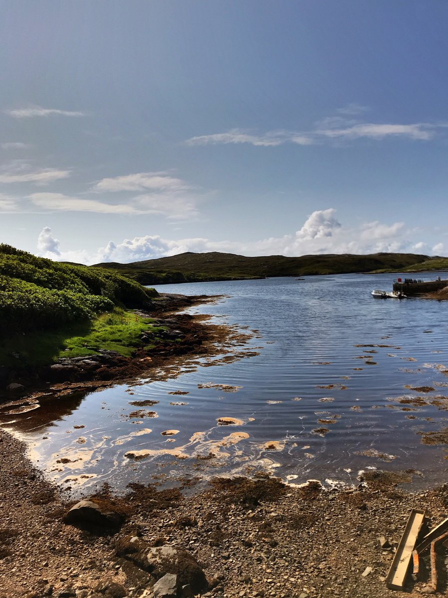 Lovethisland_'s tweet image. Around Amhuinnsuidhe,  Harris.

“Imagine…”

#hebrides #outerhebrides #Scotland