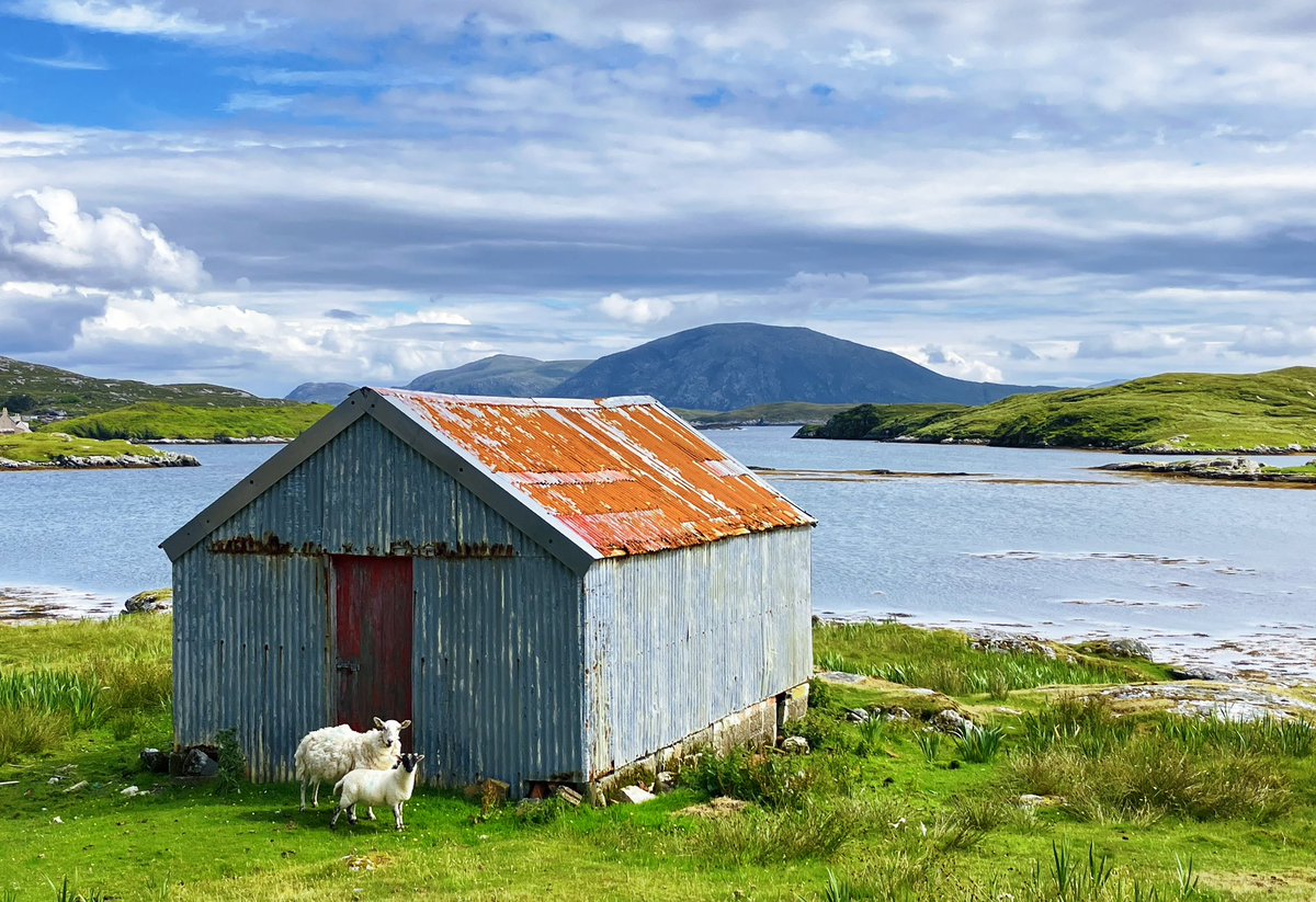 Lovethisland_'s tweet image. Around Amhuinnsuidhe,  Harris.

“Imagine…”

#hebrides #outerhebrides #Scotland