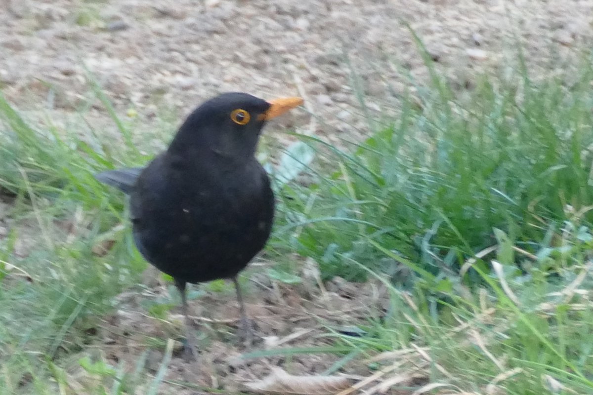 Guten Morgen ihr Lieben, 👋☕️💛😘
wünsche euch einen wunderschönen Tag. Passt auf euch auf und bleibt gesund. Den Kranken wünsche ich eine vollständige und schnelle Genesung.

Hier regnet es. Die Wahrscheinlichkeit ist hoch, dass die Woche besser wird als der Start.