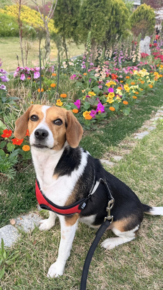 🍒 XIAOJUN JUDYDOLL tweet media